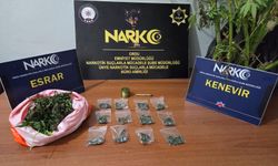 Ordu'da uyuşturucu operasyonunda gözaltına alınan 2 zanlı tutuklandı