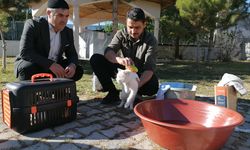 Sahip çıktığı kedileri leğende yıkayan imam hayvan sevgisiyle örnek oluyor