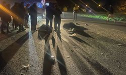 Samsun'da kamyonetin çarptığı 2 kişi hayatını kaybetti