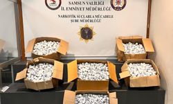 Samsun'da tıra gizlenmiş 153 bin 615 sentetik ecza ele geçirildi