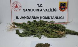 Şanlıurfa'da uyuşturucu operasyonunda 4 şüpheli yakalandı