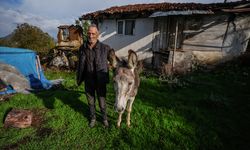 Sındırgı'da eşeği Kadife'yi enkazdan kurtaran sahibi duygusal anlar yaşadı