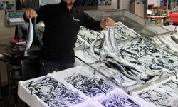 Sinop'ta balıkçı tezgahları hamsiyle doldu