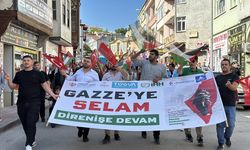 Sinop'ta 'Özgür Filistin'in Yanındayız' yürüyüşü düzenlendi