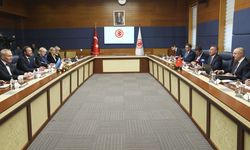 TBMM Dışişleri Komisyonu Başkanı Oktay, Estonya Dışişleri Bakanı Tsahkna ile görüştü