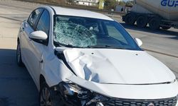 Tekirdağ'da otomobilin çarptığı kadın öldü