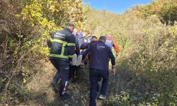 Tokat'ta uçuruma devrilen hafif ticari araçtaki 2 kişi yaralandı