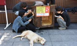 Trabzon'da öğrenciler 'Dünya Hayvanları Koruma Günü'nde köpek kulübelerini renklendirdi