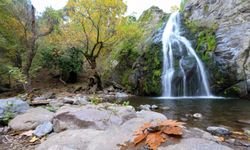 Yunt Dağları'ndaki ağaçlar hazan rengine büründü