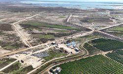 Adana Valisi Köşger, tarıma dayalı organize sanayi bölgesinde incelemelerde bulundu