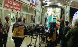 Adana'da iki otomobilin çarpıştığı kazada 7 kişi yaralandı