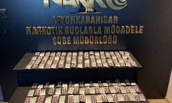 Afyonkarahisar'da uyuşturucu operasyonunda 2 zanlı tutuklandı
