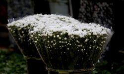 Antalya'da çiçek mezatlarında Öğretmenler Günü yoğunluğu