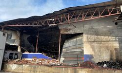 Antalya'da yangında sebze paketleme tesisi zarar gördü