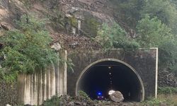 Artvin'de heyelan nedeniyle kapanan Kemalpaşa-Sarp Sınır Kapısı karayolu ulaşıma açıldı