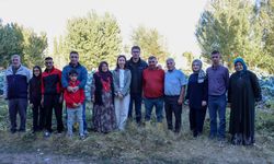 Ata tohumuyla yetiştirilen 'Erciş lahanası'nın hasadı başladı