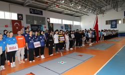 Aydın'da 2. Hemsball Türkiye Şampiyonası başladı