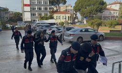 Aydın'da zeytin hırsızlığı iddiasıyla 2 şüpheli tutuklandı