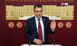 Bağımsız Milletvekili Dalgın, Türkiye'deki 'kayıt dışı' istihdam oranını eleştirdi