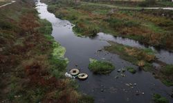 Balıkesir'deki Gönen Çayı'nda kirliliğe karşı tedbir çağrısı