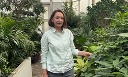 Balkon bahçeciliğine artan ilgi süs bitkisi satışlarını artırdı