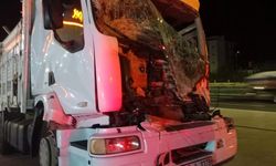 Bilecik'te çekiciye çarpan kamyonun sürücüsü öldü