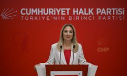 CHP'li Nazlıaka, 20 Kasım Dünya Çocuk Hakları Günü dolayısıyla basın toplantısı düzenledi