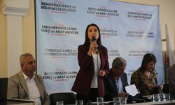 DEM Parti Eş Genel Başkanı Tülay Hatimoğulları, Hatay'da düzenlenen panelde konuştu: