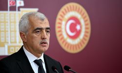 DEM Parti milletvekilleri basın toplantısı düzenledi