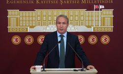 DEM Parti'li İrmez, Şırnak'ta bazı bölgelerdeki elektrik kesintilerinin son bulmasını istedi