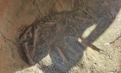 Denizli'de insana ait olduğu anlaşılan kemik parçaları bulundu