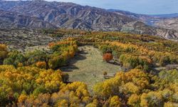 Diyarbakır'ın Kulp ilçesindeki sonbahar renkleri dronla görüntülendi