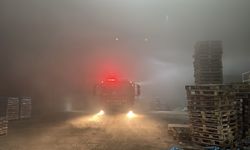 Edirne'de palet fabrikasında çıkan yangın söndürüldü