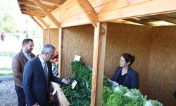 Edirne'de üreticiler ürünlerini Millet Bahçesi'nde satışa sunacak