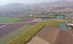 Elazığ'da kaybolan 14 yaşındaki otizmli çocuğu arama çalışmaları 4. gününde sürüyor