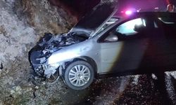 Erzincan'da ayıya çarpan otomobilde 1 kişi yaralandı