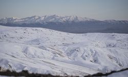 Erzurum ile Ardahan'da sis ve soğuk hava etkili oldu