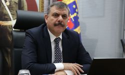 Erzurum Valisi Çiftçi, il genelindeki sahipsiz hayvanların hepsinin toplandığını açıkladı: