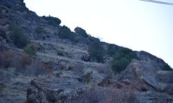 Gümüşhane'de doğa yürüyüşü sırasında kayalıklardan düşen hemşire yaralandı