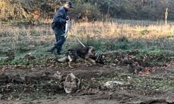 GÜNCELLEME - Bursa'da mantar toplamak için gittiği ormanlık alanda kaybolan kişi aranıyor