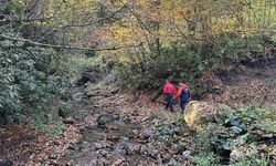 GÜNCELLEME - Kastamonu'da kaybolan anne ve oğlunu arama çalışmaları sürüyor