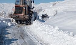 Hakkari ve Muş'ta kapanan 44 yerleşim yerinin yolu ulaşıma açıldı