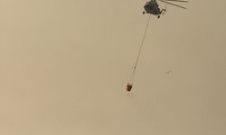 Hakkari'de Nehil Sazlığı'ndaki yangına havadan müdahale ediliyor