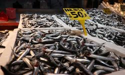 Hamsi bolluğu Trabzon'daki balıkçı tezgahlarında fiyatlara yansıdı