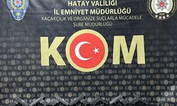 Hatay'da 10 ruhsatsız tabanca bulunan otomobildeki 2 zanlı tutuklandı