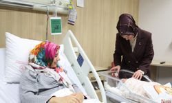 Her yeni doğan bebek ve yeni evli çift adına bir fidan