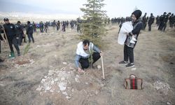 İç Anadolu'da fidanlar toprakla buluşturuldu