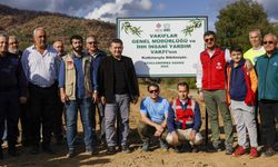 İHH, çiftçilere zeytin fidanı desteğini 25 bine çıkaracak