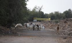 İsrail ordusu, Suriye'nin Kuneytra ilindeki ihlallerini sürdürüyor