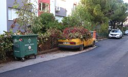 İzmir'de 8 yıldır park halindeki otomobili sarmaşıklar sardı